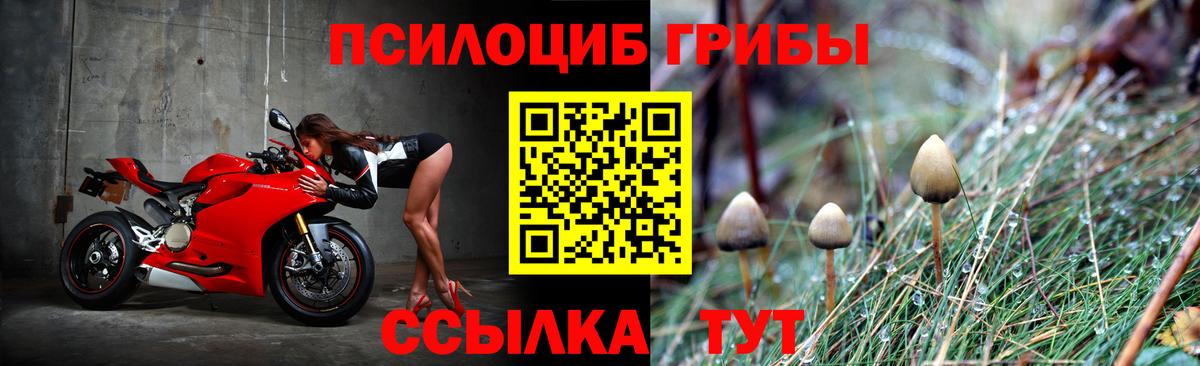 Псилоцибиновые грибы Magic Shrooms Якутск